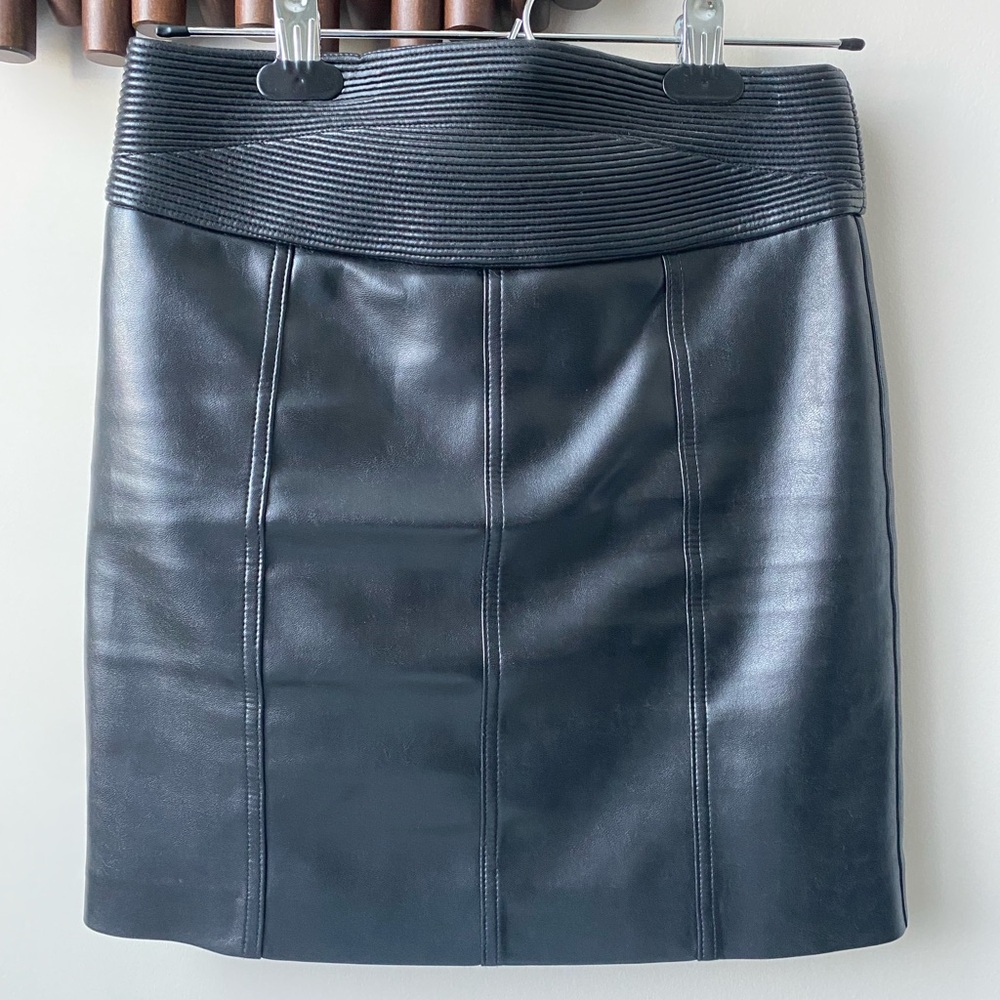 Aritzia, Babaton Faux Leather Short Skirt